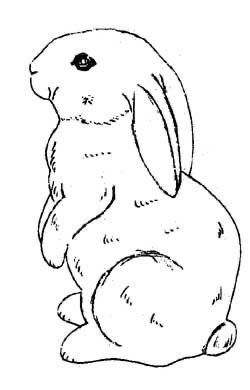 Rabbit Breeding, Doodle Animals, Bunny Sculpture, Bunny Sitting, Bunny Sketches, Rabbit Drawing, Bunny Tattoos, Bunny Coloring Pages, Bunny Painting