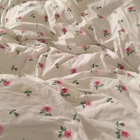 Roses, Bed, Flowers, Pink, White