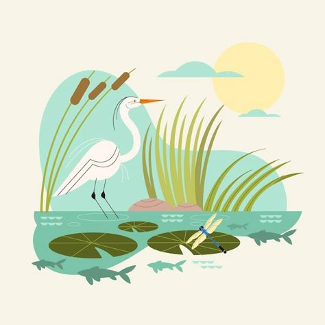 Wetland Illustration, Wetlands Illustration, Habitat Illustration, River Illustration Simple, Animal Environment, World Wetlands Day, Rv Style, Animal Infographic, Fauna Illustration