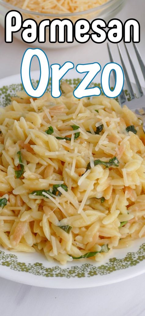 This easy Parmesan Orzo is a great and affordable side or meatless main dish. Full of flavor from chicken broth, butter, fresh basil and garlic. Orzo Recipes With Chicken, Orzo Recipes Side, Orzo Pasta Recipes, Parmesan Orzo, Creamy Orzo, Fresh Herb Recipes, Best Lunch Recipes, Pasta Side, Pasta Side Dishes