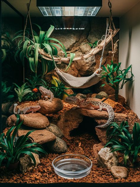 Leopard gecko tank setup ideas: Discover enchanting 10-gallon habitats that maximize style and comfort for your pet. Explore simple, yet effective leopard gecko habitat ideas today!

https://acuariopets.com/tank-setup-ideas-for-leopard-geckos/ Reptile Enclosure Ideas Leopard Geckos, Skink Lizard Habitats, Tank Ideas Reptile, Leopard Gecko Bioactive Vivarium, Day Gecko Enclosure, Geko Lizard Enclosure, Lepord Gecko Cages, Desert Terrarium Reptile, Cute Crested Gecko Tank Ideas