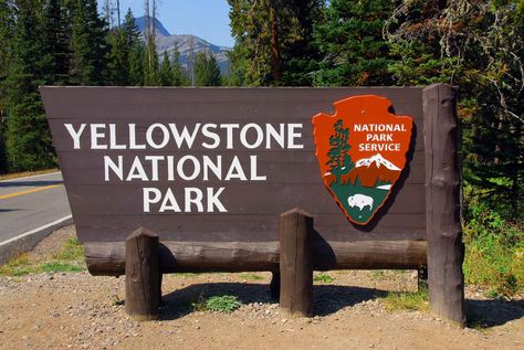 See All 1,852 Yellowstone National Park Campsite Photos Hiking Signs, National Park Signs, Resort Signage, Rv Deck, Dude Ranch Vacations, Park Signage, Wyoming Travel, Visit Yellowstone, West Yellowstone