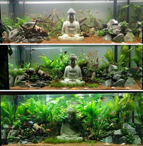 Aquarium Setup Ideas, Cool Fish Tank Decorations, Aquarium Diy, Fish Tank Ideas, Aquascape Ideas, Fish Tank Themes, Amazing Aquariums, Fish Tank Terrarium, Cool Fish Tanks