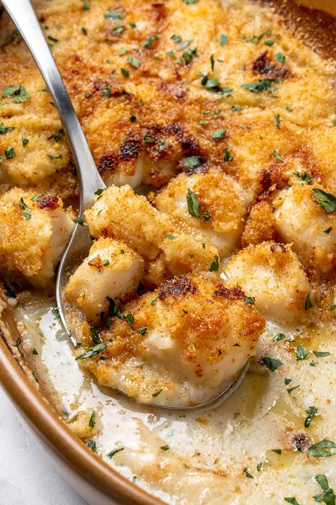 Scallop Recipes Baked, Scallop Recipes Healthy, Easy Scallop Recipes, Seafood Scallops, Seafood Boils, Seafood Dish Recipes, Scallop Dishes, Baked Scallops, Healthy Dinner Recipes For Family