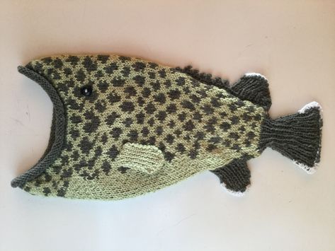 Knit Fish, Knitted Fish, Fish Hat, Basic Pattern, Crafty Craft, Yarn Art, Knitting Inspiration, Yarn Crafts, Crochet Crafts