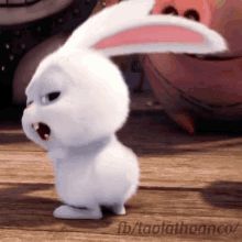 Bunny Snowball GIF - Bunny Snowball TheSecretLifeOfPets - Discover & Share GIFs Snowball Rabbit, Rabbit Gif, Cute Bunny Cartoon, Disney Gif, Dancing Gif, Secret Life Of Pets, Cute Cartoon Pictures, Cartoon Gifs, Animal Jokes