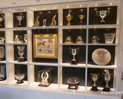 Awards Display Wall, Award Shelves, Trophy Display Shelves, Diy Trophy, Trophy Cabinets, Trophy Display Case, Trophy Wall, Custom Wall Unit, Trophy Shelf