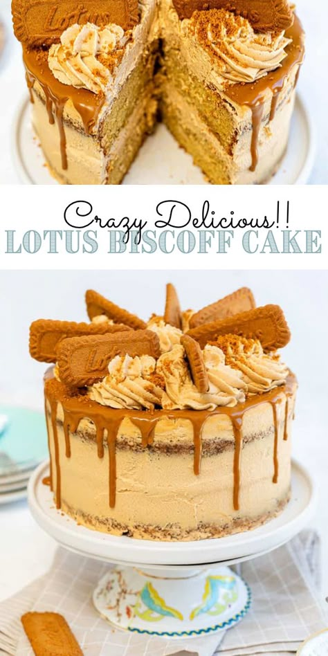 Cookie Butter Cake Recipes, Cake Biscoff, Cake Recipes No Bake, Biscoff Desserts, Lotus Biscoff Cake, Cookie Butter Cake, Biscoff Buttercream, Biscoff Cake, Biscoff Recipes