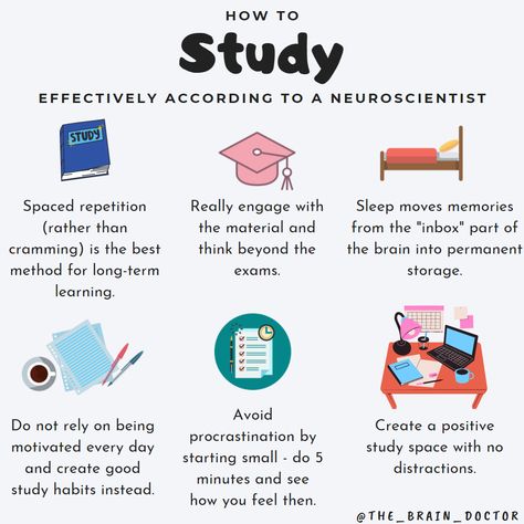 Establishing good study habits are not just for high school/uni but is one of the key skills needed for life-long learning. Study Tips For Add Students, Good Study Habits High Schools, How To Set Yourself Up For Success, Student Life Hacks Study Habits, How To Hit A High Note, Study Habits For Middle School, How To Get High, Study Habits For High School, How To Be A Good Student