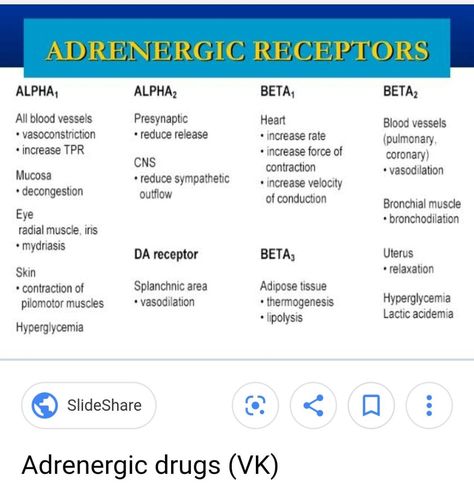 Beta 1 And Beta 2 Receptors, Alpha 1 Alpha 2 Beta 1 Beta 2 Nursing, Alpha Beta Receptors, Adrenergic Pharmacology, Alpha Receptors, Adrenergic Agonist, Autonomic Nervous System Pharmacology, Alpha And Beta Receptors, Alpha Adrenergic Agonist