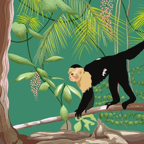 Melissa Kirkpatrick on Instagram: “Throwback to my Costa Rica trip, this was a monkey ready to steal everyone’s unguarded possessions on the beach 🐒 . . . #monkey #capuchin…” Capuchin Monkey Illustration, Costa Rica Painting, Costa Rica Poster, Costa Rica Animals, Costa Rica Art, Costa Rica Wildlife, Monkey Illustration, Coffee Package, Costa Rica Trip