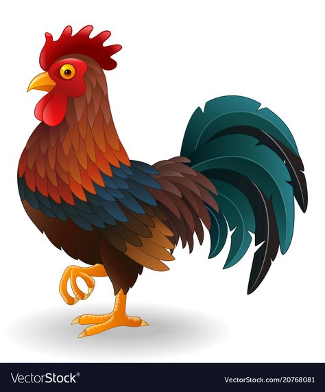 Rooster Vector, Rooster Illustration, Cartoon Rooster, Gallo Pinto, Chicken Drawing, Inkscape Tutorials, Cartoon Chicken, Chicken Art, Chickens And Roosters