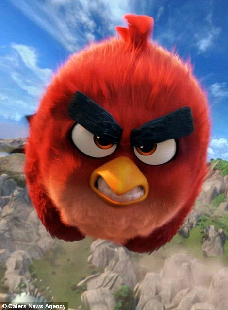 Pictured, the character 'Red' from the movie Angry Birds Angry Birds Movie Red, Angry Bird Pictures, All Angry Birds, Angry Birds Characters, Red Angry Bird, Birds Movie, Animiertes Gif, Wallpaper 8k, Angry Birds Movie