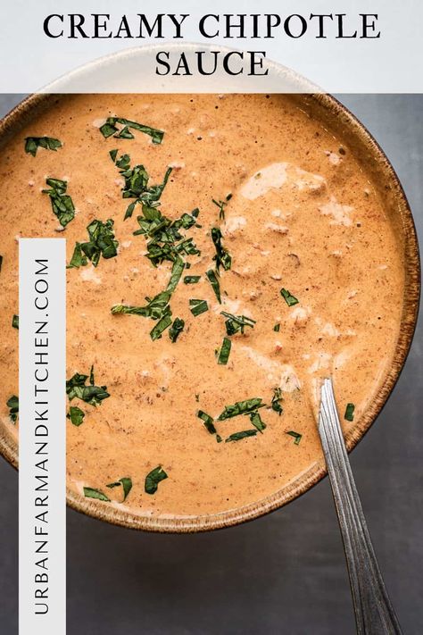 Creamy Chipotle Sauce Recipe (for tacos, dips & more) Dipping Sauce For Tacos, Taco Sauce Recipe Creamy, Rubios Chipotle Sauce, Adobo Chipotle Sauce, Street Tacos Sauce, Steak Taco Sauce Recipe, Chipotle Taco Sauce, Fajita Sauce Creamy, Adobo Sauce Recipe Easy