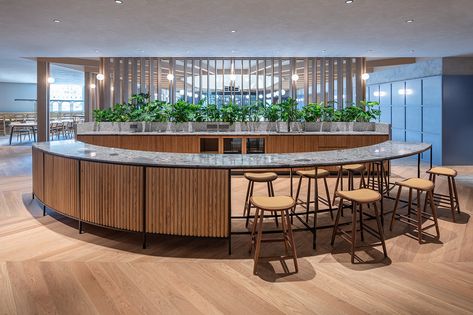 Linehouse converts an indoor pool into a flexible work space | Indesignlive Pool Changing Rooms, Flexible Work Space, Timber Screens, Stone Counters, Traditional Office, Multifunctional Space, Oak Panels, Social Space, Collaboration Space