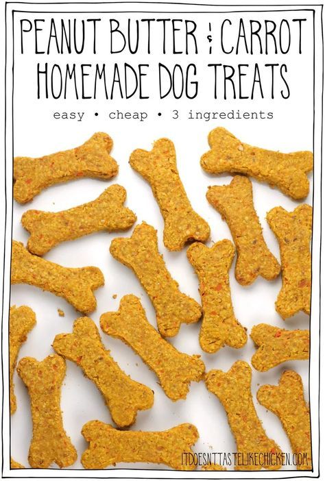 This Homemade Dog Treat Recipe is quick and easy to make! With just 3 ingredients: peanut butter, carrot, and oats. They are so cheap to make, and are healthy for your dogs too. And most important of all, dogs LOVE them!! #itdoesnttastelikechicken #dogtreats #dogtreatrecipe Carrots And Peanut Butter, Easy Homemade Dog Treats, Soft Dog Treats, Pet Treats Recipes, Dog Treat Recipe, Dog Treats Homemade Easy, Doggy Treats, Easy Dog Treat Recipes, Butter Carrots