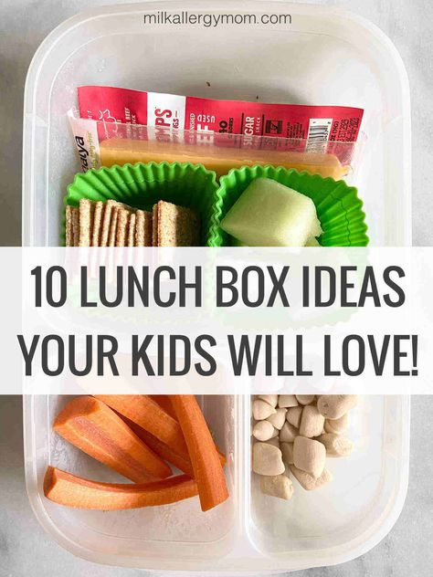 Meat & Cheese Stick Bento Lunch Box Idea Dairy-Free | Milk Allergy Mom Easy Lunches To Make, Milk Allergy Mom, Dairy Free Lunch, Meat Sticks, Lunch Box Idea, Cheese Stick, Milk Allergy, Meat Stick, Cheese Sticks