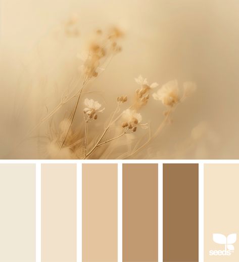 Design Seeds: Nature Tones Inspiration Color Palettes, Seeds Color Palette, Boho Color Scheme, Home Wall Colour, Boho Branding, Seeds Color, Color Palette Challenge, Nature Color Palette, Cream Tones