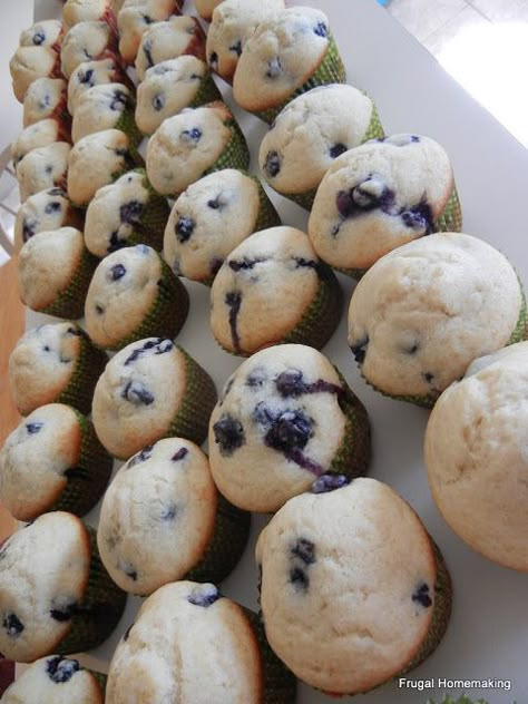 Frugal Homemaking: Big Batch Blueberry Muffins {Fill Your Freezer!} Big Batch Recipes, Frugal Homemaking, Fill Your Freezer, Oatmeal Chocolate Chip Muffins, Batch Recipes, Freezer Food, Freezer Breakfast, Oatmeal Chocolate, Cooking For A Crowd