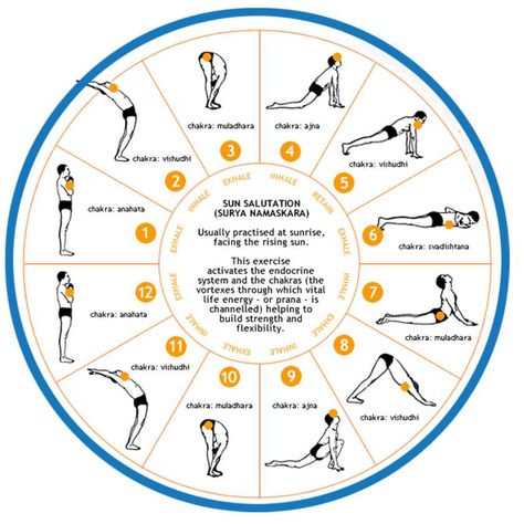 Surya Namaskar (Sun Salutation) has been practiced in India for years and it has enormous health benefits. Description from pinterest.com. I searched for this on bing.com/images Surya Namaskara, Hata Yoga, Yoga Routine For Beginners, Morning Yoga Routine, Surya Namaskar, Sup Yoga, Yoga Iyengar, Yoga Love, Yoga Journal