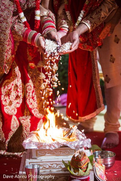 Sorry Brother, Indian Wedding Aesthetic, Indian Wedding Pictures, Bride Groom Poses, Indian Bride Photography Poses, Indian Wedding Poses, Indian Marriage, Two Love Birds, Bride Photos Poses