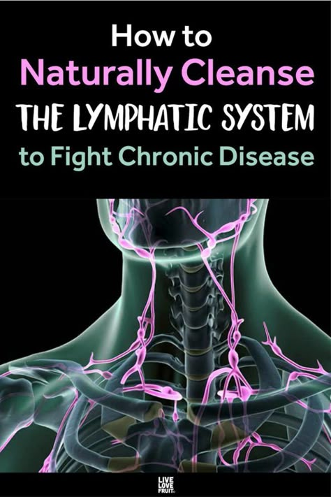 3D representation of lymphatic system in neck and shoulders with text - how to naturally cleanse the lymphatic system to fight chronic disease Lymph Drainage Massage, Lymph Glands, Lymph Fluid, Drainage Massage, Lymph Massage, Lymph System, Lymph Drainage, Lymph Nodes, Home Health Remedies