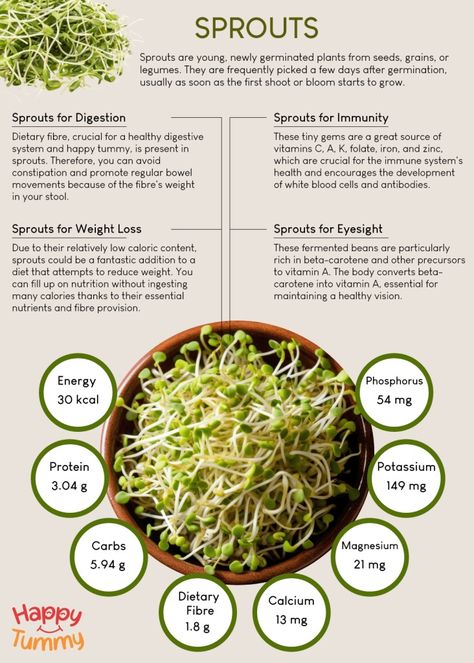 The Nutrient-Rich Benefits of Sprouts - Happytummy Sprouts Benefits, Better Digestion, Diy Shampoo, Healthy Eyes, Gluten Intolerance, Fiber Foods, Foods To Avoid, Healthy Digestion, Dietary Fiber