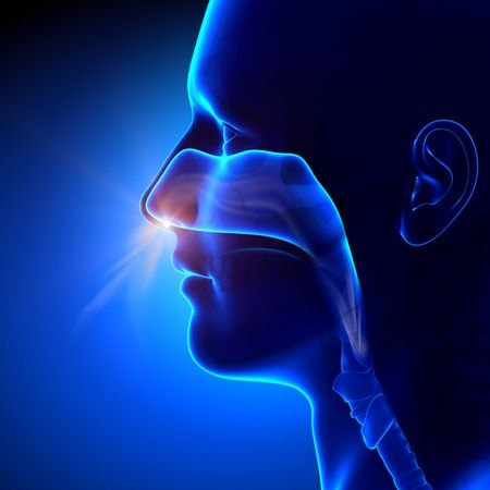 Why is it important to breathe through nose? Sinusitis Remedies, Reflexology Benefits, Sinus Remedies, Allergies Remedies, Sinus Cavities, Sinus Infection Remedies, Natural Remedies For Allergies, Diaphragmatic Breathing, Allergy Remedies