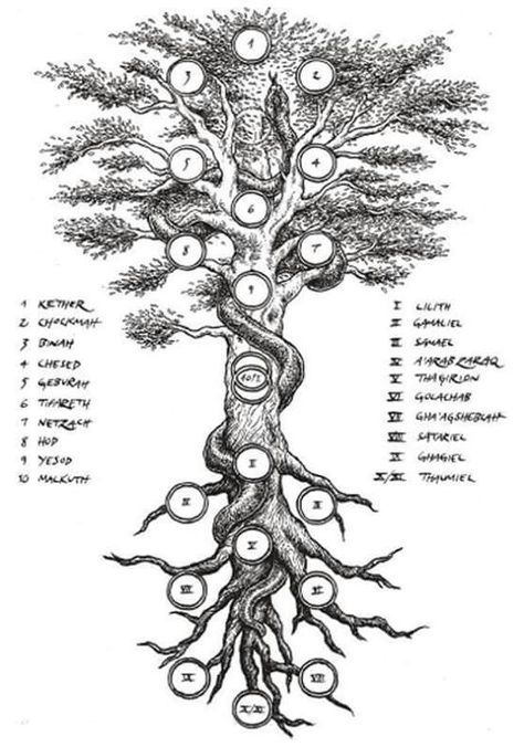 Qabalistic Tree of Life and the Qliphoth. Rabe Tattoo, Alchemy Symbols, Esoteric Art, Tree Of Life Tattoo, Occult Art, Ancient Knowledge, The Tree Of Life, Google Lens, Symbolic Tattoos