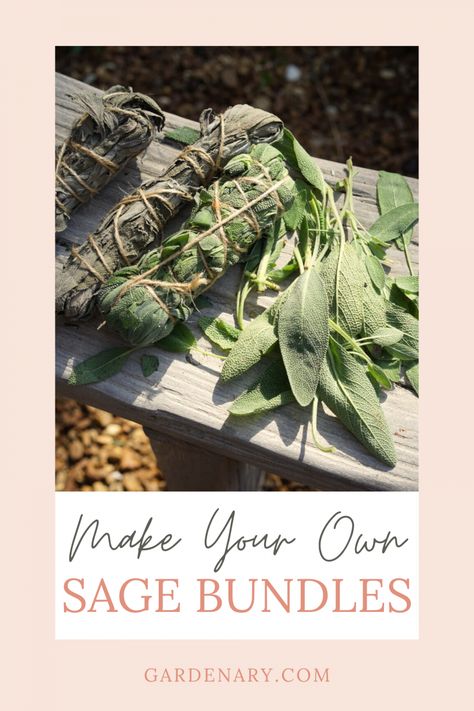 Smudge Recipes, Smudge Sticks Diy, Benefits Of Burning Sage, Dry Sage, Sage Smudge Sticks, Sage Bundles, Sage Herb, Cleansing Ritual, Sage Plant