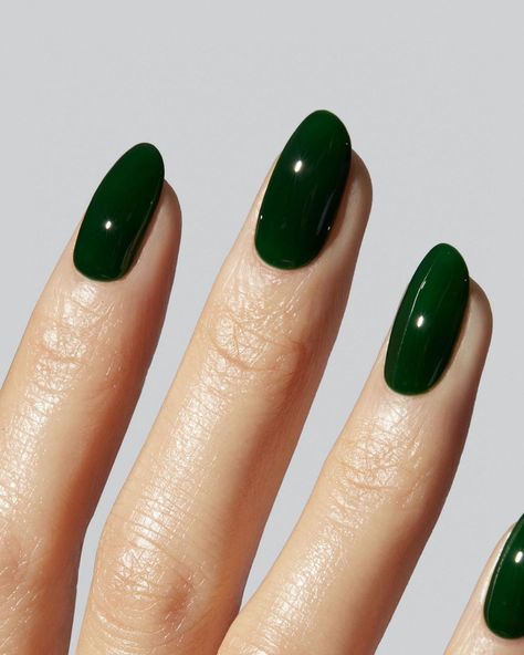 @iamgelcare on Instagram: “EMERALD G-065 — A rich but jelly green. Glistens like an emerald.” Emerald Green Jelly Nails, Dark Green Jelly Nails, Green Jelly Nails, Deep Green Nails, Gel Nails Green, Lola Core, Color Palette Emerald Green, Nail Color Palette, Men Nails