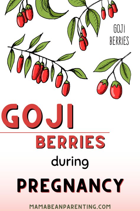 As you’ve likely already found out, pregnancy is a time of careful, healthy eating. You have to be mindful about the food you eat, and to make sure that it’s safe for you and your baby. Goji berries are healthy, but is it safe to eat goji berries during pregnancy? Goji Berries Benefits, Gogi Berries, Benefits Of Berries, Pregnancy Tea, Berry Tea, Red Dates, Goji Berries, Pregnancy Birth, Be Mindful