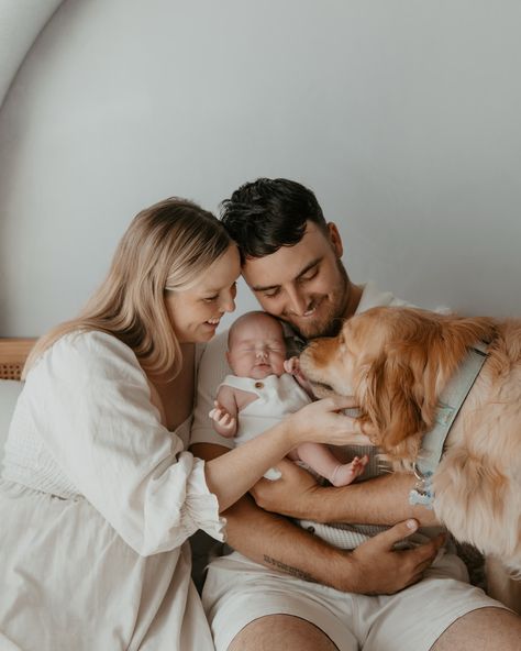 Tilly & her gorgeous family ✨ I have an incredible amount of editing at the moment after the last weekend of Christmas minis for the year. Wow what a year it’s been! So many babies & weddings & beautiful families have crossed my screen & I’m honestly so so grateful to each & every one of you for trusting me to capture your precious family memories Family Photos With Golden Retriever, Family With Dog, Golden Retriever Baby, Dog Family, Baby Wedding, Dogs Golden Retriever, Christmas Minis, Family Memories, 2025 Vision