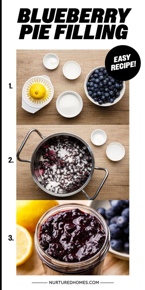 Make-Ahead Blueberry Pie Filling - Nurtured Homes Blueberry Tarts Filling, Easy Pie Filling Recipes, Easy Blueberry Pie Filling, Homemade Blueberry Pie Filling, Frozen Blueberry Pie, Blueberry Pie Filling Recipes, Tart Shells Recipe, Nutella Dessert Recipes, Berry Pie Filling