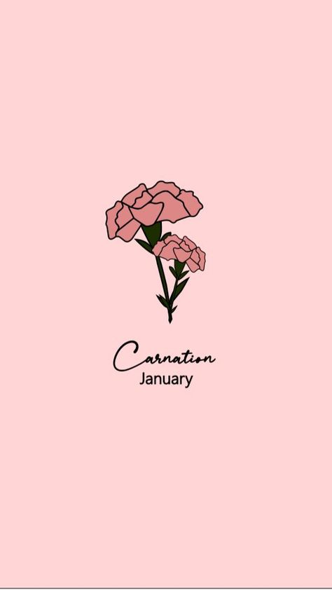 Pink Aesthetic Cottagecore, Beautiful Pink Aesthetic, Birth Flower January, Flower For January, January Flower, January Carnation, January Wallpaper, Birthday Wallpaper, Aesthetic Cottagecore