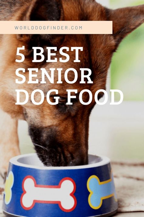 As dogs age, their dietary needs will change. They will not require as much energy, and their mobility will probably decrease. To provide them a carefree senior life, you should pick the best senior dog food made specifically for older dogs. Senior dogs have a slower metabolism, and their food should adapt to it. Food For Senior Dogs, Senior Dog Food, Best Dog Food Brands, Senior Dog Food Recipes, Make Dog Food, Healthy Dog Food, Food Supplies, Dog Food Brands, Dog Tricks