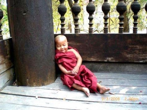 Baby Monk Maxwell Maltz, Little Buddha, Dalai Lama, Quotes Thoughts, Inspiring Quotes About Life, Making Friends, Oahu, Great Quotes, Food For Thought