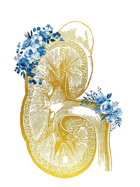 Poster Medical, Medical Wallpaper, Golden Art, Biology Art, Collage Art Projects, Medical Design, Medical Art, Body Anatomy, Art Gold