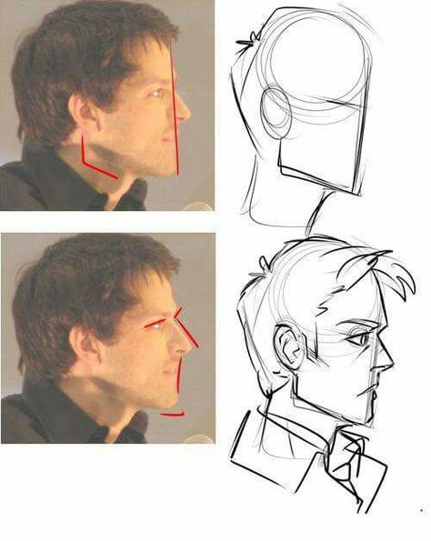 Face head profile Breast Reference, رسم كاريكاتير, 얼굴 드로잉, 얼굴 그리기, Sketch Pad, Poses References, Anatomy Drawing, Guided Drawing, Anatomy Reference