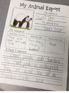 Animal reports are a fun way to get young students excited about doing research. Today I wanted to show how I differentiate my animal research unit for kindergarten all the way up through fourth grade Animal Report, Second Grade Writing, Animal Research, 2nd Grade Writing, 1st Grade Science, First Grade Science, 1st Grade Writing, First Grade Writing, Writers Workshop