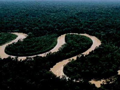 Amazon Rainforest National Geographic Kids, Amazon River, Peru Travel, Amazon Rainforest, Tropical Rainforest, Famous Places, Places Of Interest, Adventure Travel, Places To Travel