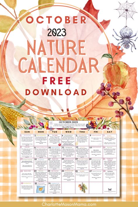 Explore nature with daily ideas! Books And Nature, October Pictures, Benefits Of Homeschooling, World Where There Are Octobers, Nature Calendar, Teaching Character, October Activities, L M Montgomery, November Calendar