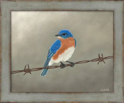 Eastern Bluebird Print, Bird, Art, Painting, Home Decor, Backyard, Cute, Blue, Canvas, ZalikArts, Nature, Songbird, Barbed Wire Bluebird Art, Bird Art Painting, Bluebird Painting, Barbed Wire Fence, Blue Bird Art, 5x7 Frame, Eastern Bluebird, Simple Portrait, Wall Art Nature