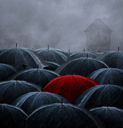 Black umbrellas & one red umbrella in the middle art Black Umbrella, Umbrella Art, Red Umbrella, Under My Umbrella, Toyama, Ansel Adams, In The Rain, Rainy Days, A Group