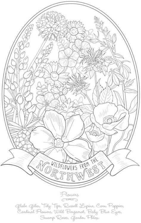 6 FREE Wildflower Coloring Pages – Stamping Black And White Reference, Flower Colouring Pages, Dover Coloring Pages, Flower Colouring, State Flowers, Adult Colouring Printables, Spring Coloring Pages, Dover Publications, Adult Colouring Pages