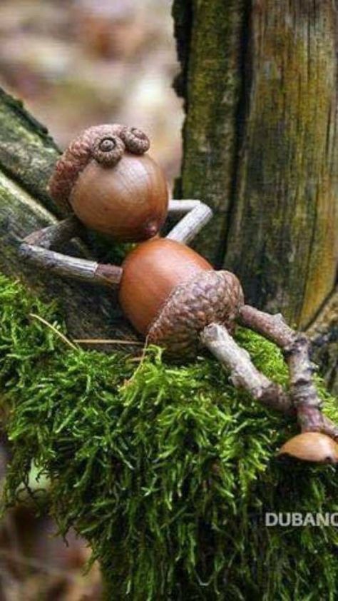 Seliverstoff Acorn Art, Tre Kunst, Fairy Tree Houses, Pine Cone Art, Acorn Crafts, Fairy Garden Designs, Fairy Garden Crafts, Deco Nature, Fairy Tree