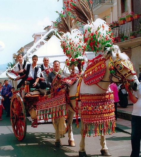 "Carretto Siciliano"is an ornate, colorful style of horse or donkey-drawn cart native to the island of Sicily..known for being covered in carvings and brightly painted scenes from Sicilian history and folklore..also served the purpose of conveying historical information to those who were illiterate..used for hauling  wood, wine, and people, called "Carretto del Lavoro" (cart for work) and also carts for festive occasions such as weddings and parades called "Carretto de Gara'. Sicilian Women, Sicilian Wedding, Aeolian Islands, Tuscany Travel, Palermo Sicily, God Father, Sicily Italy, Horse Drawn, Messina