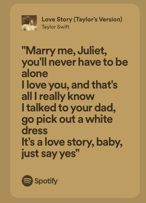 Love Story Taylor Swift Lyrics Aesthetic, Marry Me Juliet Song, Taylor Swift Romeo And Juliet, Marry Me Juliet, Romeo And Juliet Quotes, Proposal Rings, Singer Dr, Cool Electric Guitars, Taylor Swift Fearless