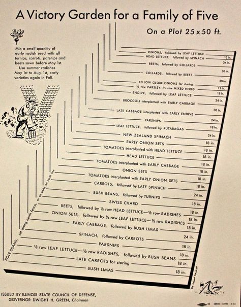 Victory Garden Plans, Garden Layout Vegetable, Garden Plan, Victory Garden, Family Of Five, Urban Homesteading, Garden Harvest, Veg Garden, Food Garden