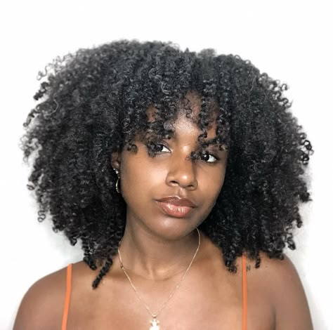 4c Layered Hair, Crochet Afro With Bangs, Coily Bangs, 4c Hair With Bangs, 4b Haircut, Wolf Cut Curly Hair Black Women, Natural Hair Layers, Curly Afro With Bangs, Layered Afro